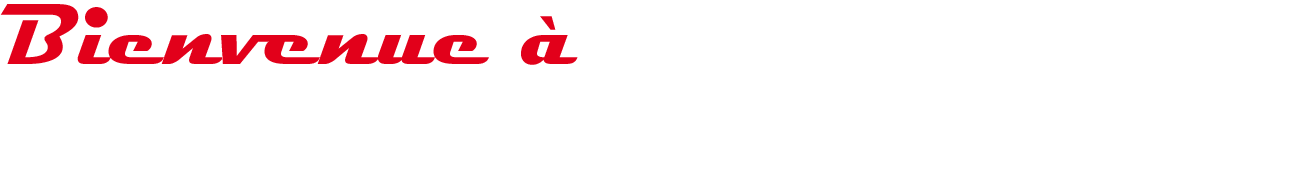 Bienvenue à Ewagen Classic & Sportcars